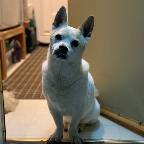 Meet your Posher, Brandon - Picture 1 of 1